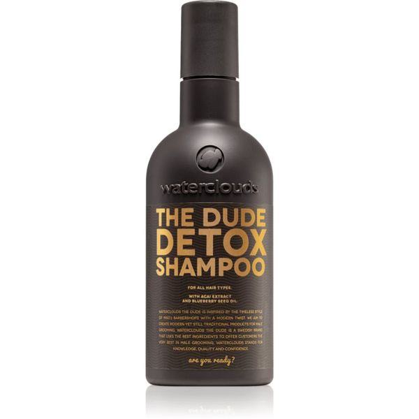 Waterclouds Waterclouds The Dude dnevni detoksikacijski šampon 250 ml