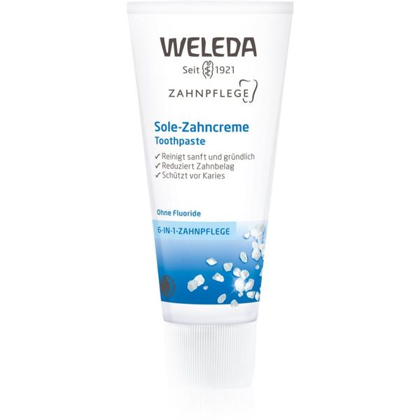 Weleda Weleda Dental Care pasta za zube s morskom soli 75 ml