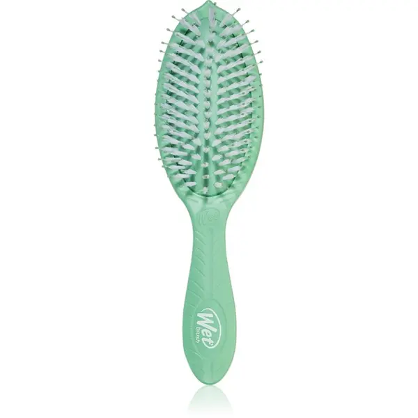 Wet Brush Wet Brush Go Green Treatment And Shine četka za sjajnu i mekanu kosu Tea Tree