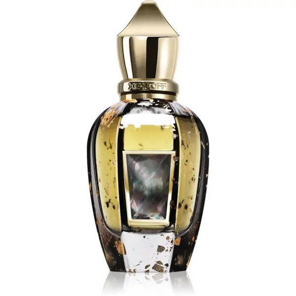 Xerjoff Xerjoff Homme Anniversary parfem za muškarce 50 ml