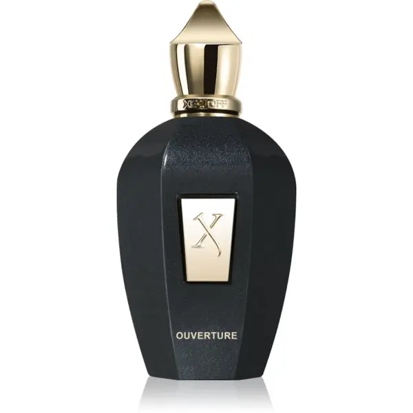 Xerjoff Xerjoff Ouverture parfemska voda uniseks 100 ml