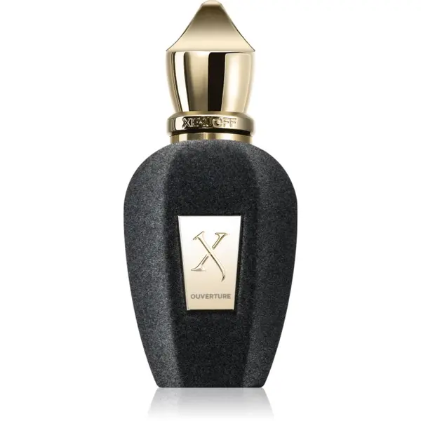 Xerjoff Xerjoff Ouverture parfemska voda uniseks 50 ml
