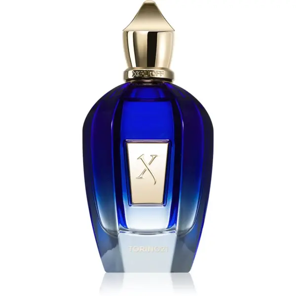Xerjoff Xerjoff Torino21 parfemska voda uniseks 100 ml