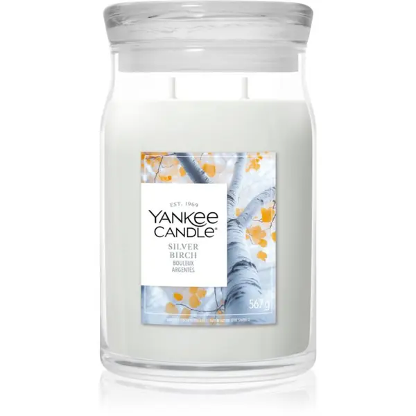 Yankee Candle Yankee Candle Silver Birch mirisna svijeća 567 g