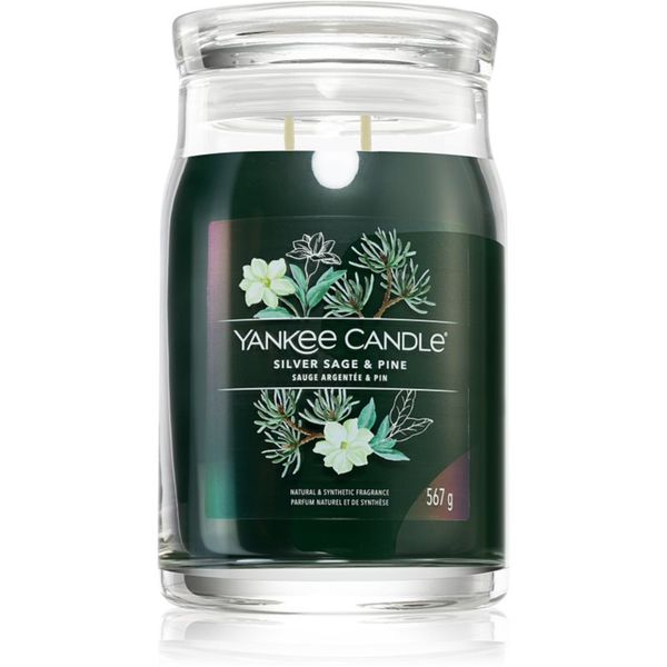 Yankee Candle Yankee Candle Silver Sage & Pine mirisna svijeća Signature 567 g