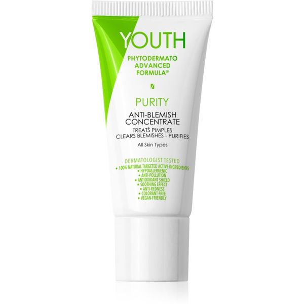 YOUTH YOUTH Purity Anti-Blemish Concentrate lokalna njega protiv akni 20 ml