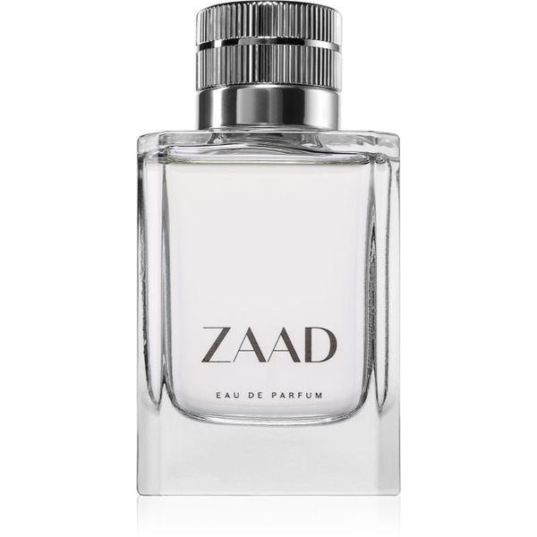 Zaad Zaad Zaad parfemska voda za muškarce 95 ml
