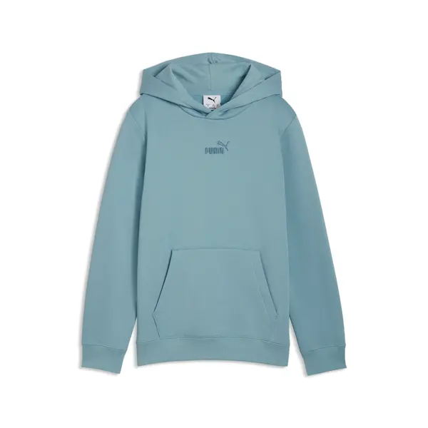 PUMA PUMA Essentials No.1 Logo Fleece Hoodie Youth, Winter, Seafoam, 15-16Y