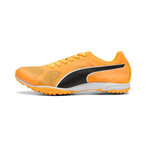 PUMA Puma evo SPEED Haraka 8 Unisex Spikeless Running Shoes, Orange, Size 38, Shoes