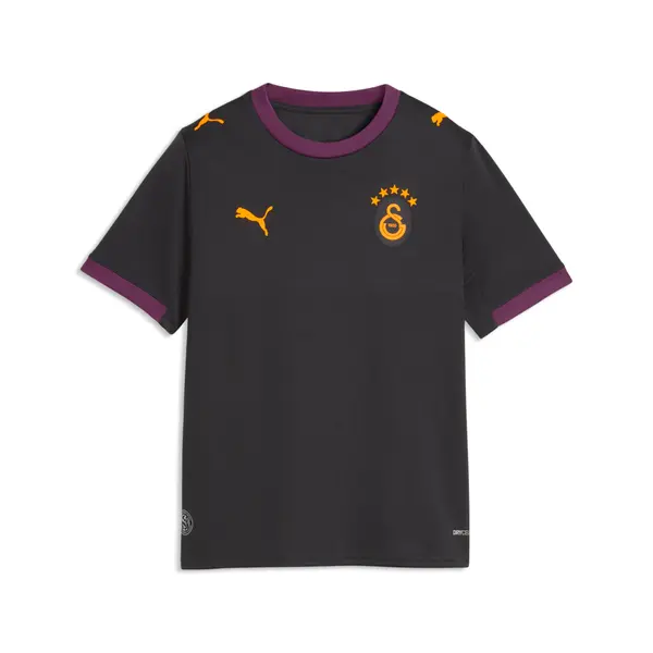 PUMA PUMA Galatasaray S.K. 26/27 Away Jersey Youth, Sports, Flat Dark Gray/Plum Wine, 15-16Y