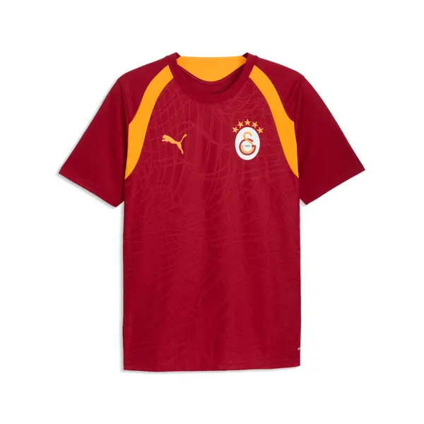 PUMA PUMA Galatasaray S.K. Slim Training Jersey Men, Sport, Dark Cherry/Summer Sunset, S