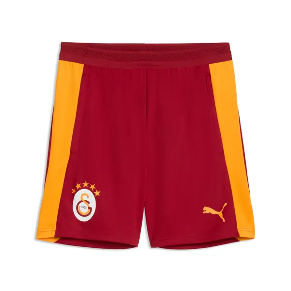 PUMA PUMA Galatasaray S.K. Slim Training Shorts Men, Sports, Dark Cherry/Summer Sunset, S