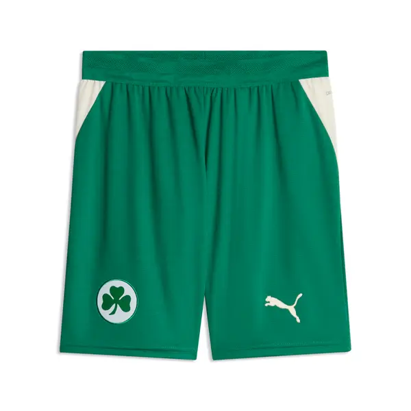PUMA PUMA Greuther Fürth 26/27 Shorts Men, Sport, Power Green/Sugared Almond, S
