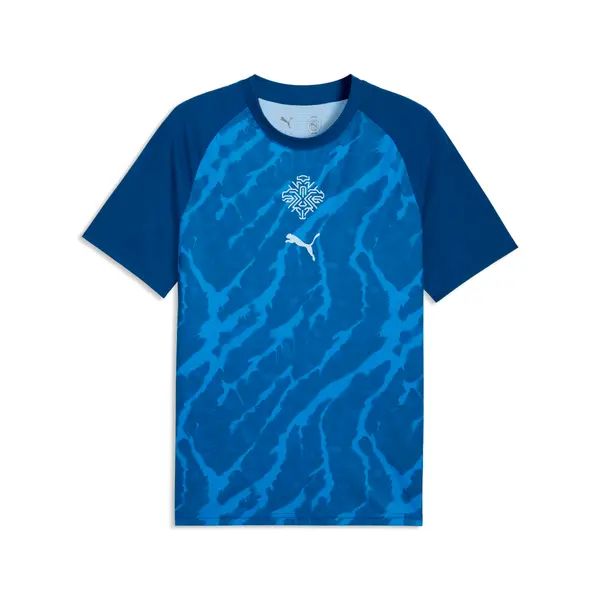 PUMA PUMA Iceland Warmup Jersey Men, Performance, Clyde Royal/Haute Tropic, S