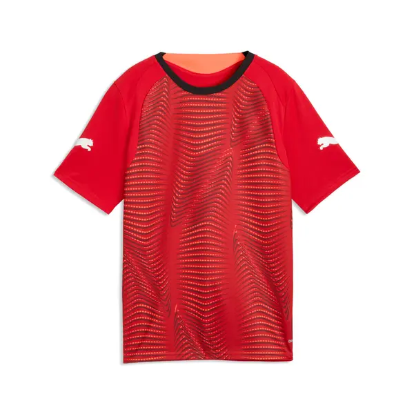 PUMA PUMA individualFINAL Football Jersey Youth, Shop, Glowing Red/Mint Jelly/Black, 15-16Y