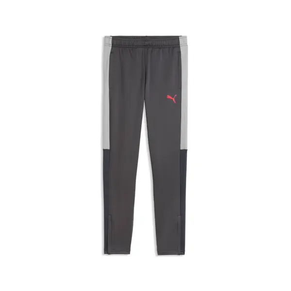 PUMA PUMA IndividualLIGA Football Training Pants Youth, Clothing, Strongray/Red/Gray Echo, 15-16Y