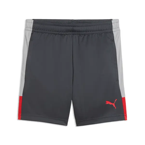 PUMA PUMA IndividualLIGA Football Training Shorts Youth, Sports, Gray Echo/Dusky Gray/Red, 15-16Y
