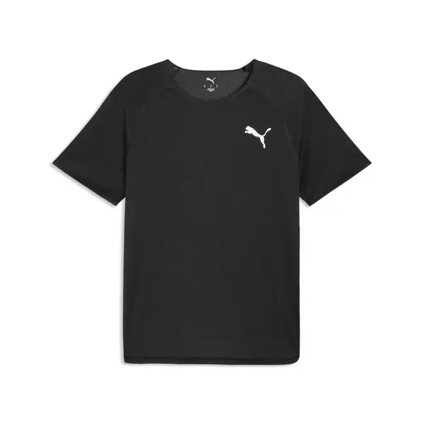 PUMA PUMA Lightspeed Running Tee Men, Sports, Black, S