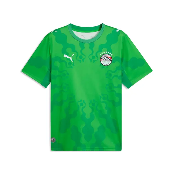 PUMA PUMA x EGYPT x SALEHE BEMBURY Goalkeeper Jersey Men, Performance, Green/Fast Green, S
