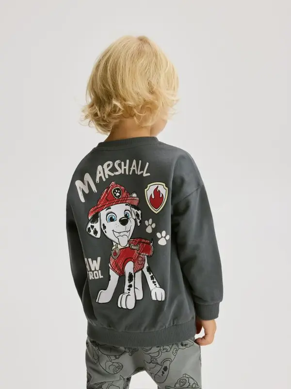 Reserved Reserved - Bluza dugih rukava PAW Patrol - tamnosivo