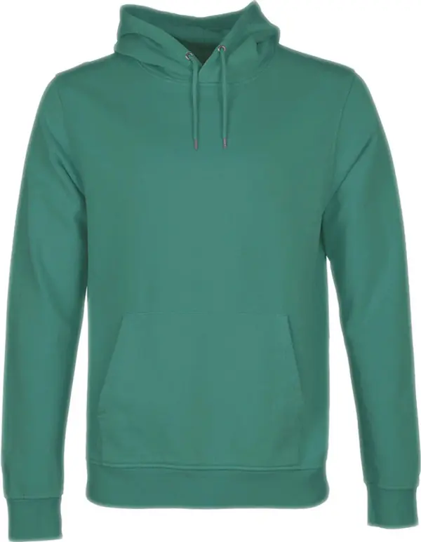 Colorful Standard Colorful Standard Classic Organic Hood Muškarci - Dukserice i džemperi s kapulja Colorful Standard - Zelena - CS1006-PG-XS - Size: XS