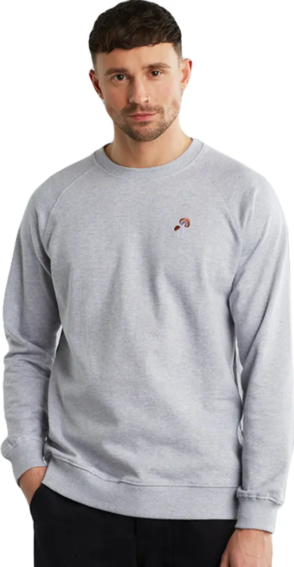 Dedicated Dedicated Sweatshirt Malmoe Mushroom Muškarci - Dukserice i džemperi s kapulja Dedicated - Siva - 18825-XL - Size: XL