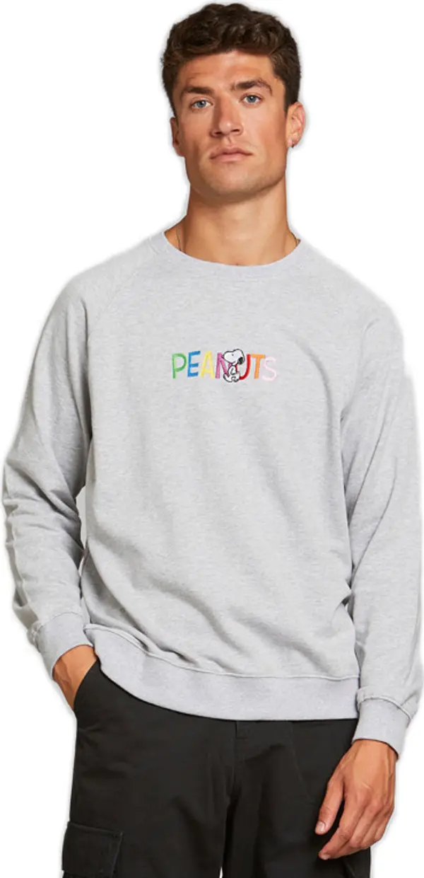 Dedicated Dedicated Sweatshirt Malmoe Peanuts Logo Grey Melange Muškarci - Majice Dedicated - Siva - 18179-M - Size: M