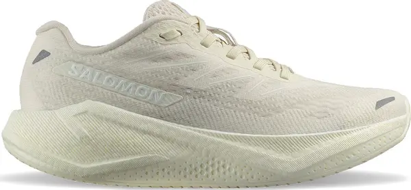 Salomon Salomon Aero Blaze 3 W Žene - Tenisice Salomon - Bijela - L47874800-5 - Size: 5