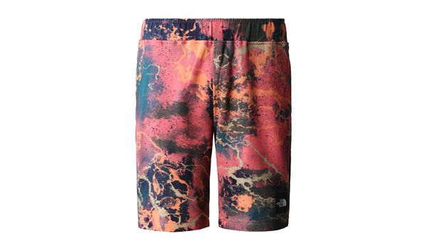 The North Face The North Face M Summer Logo Shorts