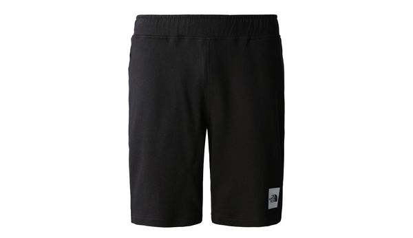 The North Face The North Face M Summer Logo Shorts
