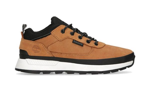 Timberland Timberland Field Trekker Low Junior