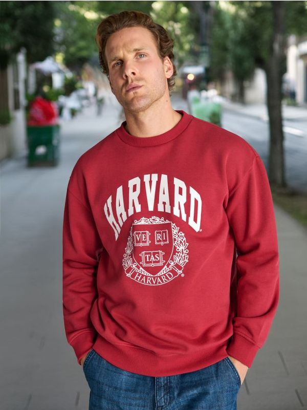 Sinsay Sinsay - Gornji dio trenirke Harvard