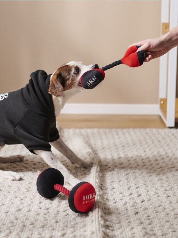 Sinsay Sinsay - Igračka za psa 2 pack