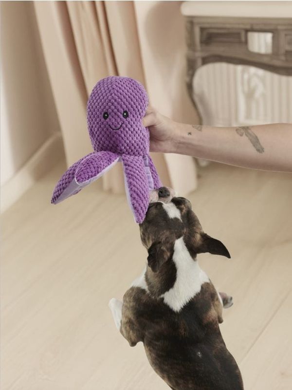 Sinsay Sinsay - Igračka za psa