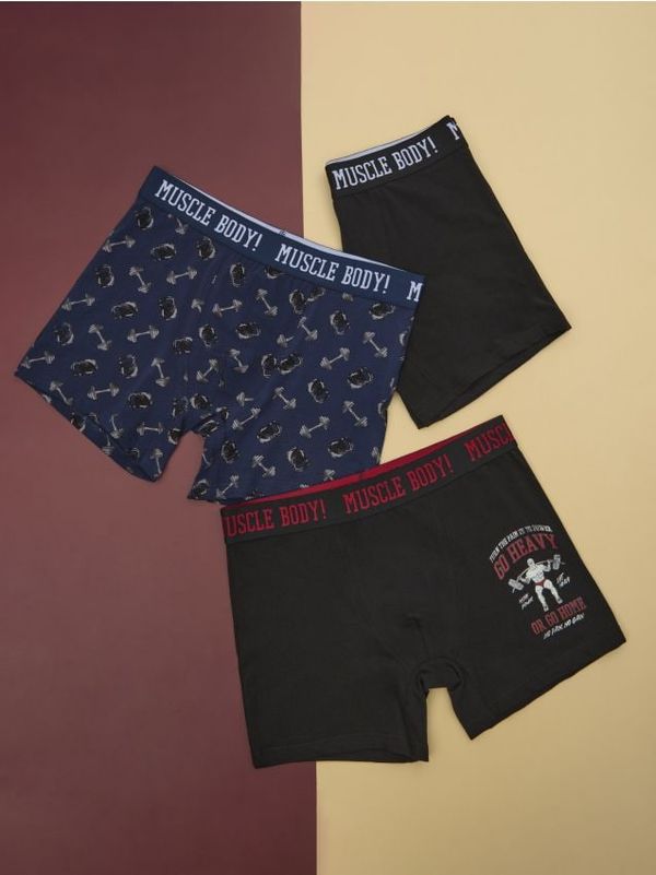 Sinsay Sinsay - Komplet od 3 para bokserica