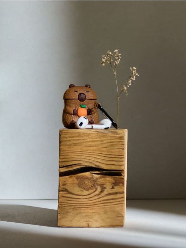 Sinsay Sinsay - Kutija za slušalice