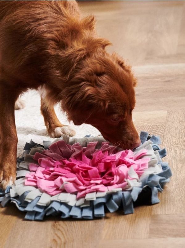 Sinsay Sinsay - Njuškala prostirka