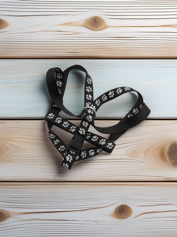 Sinsay Sinsay - Ovratnik za psa