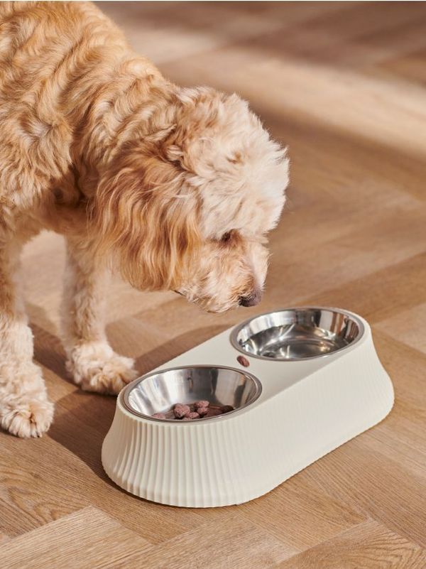 Sinsay Sinsay - Posuda za kućnog ljubimca