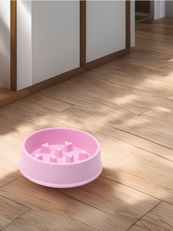 Sinsay Sinsay - Posuda za kućnog ljubimca