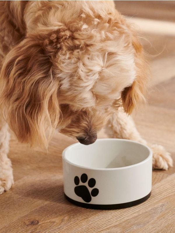 Sinsay Sinsay - Posuda za kućnog ljubimca