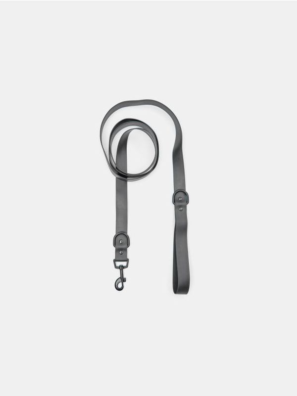 Sinsay Sinsay - Povodac za pse