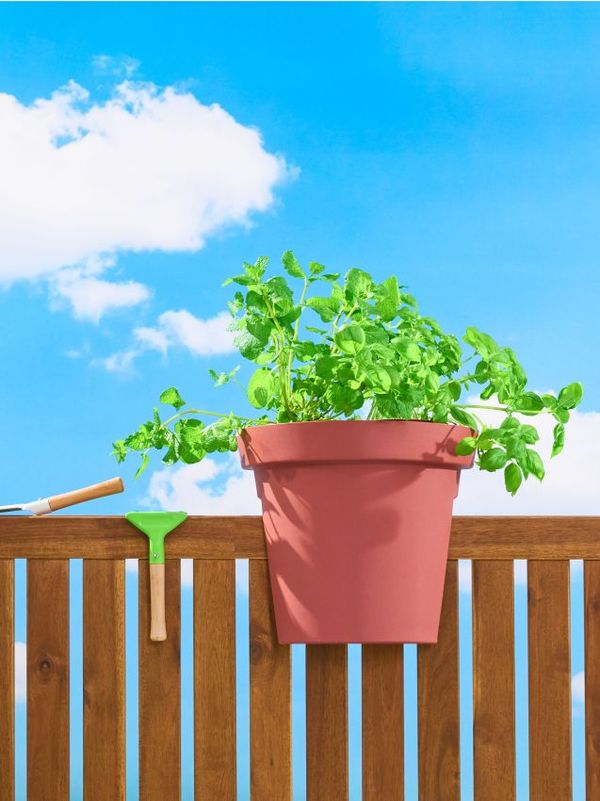 Sinsay Sinsay - Tegla za biljke