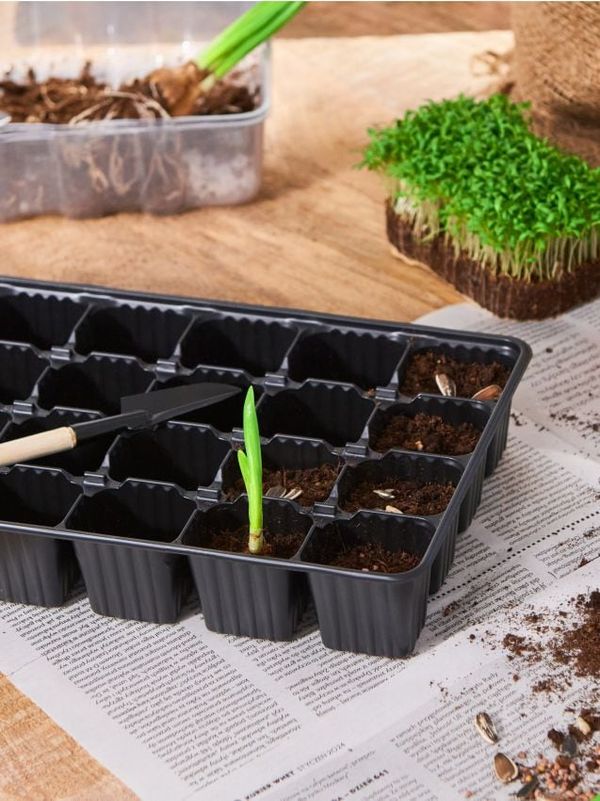 Sinsay Sinsay - Tegla za biljke