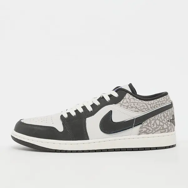 Jordan Air Jordan 1 Low SE V2