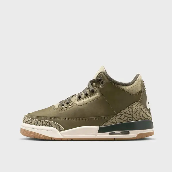 Jordan Air Jordan 3 Retro "Family Affair" (GS)