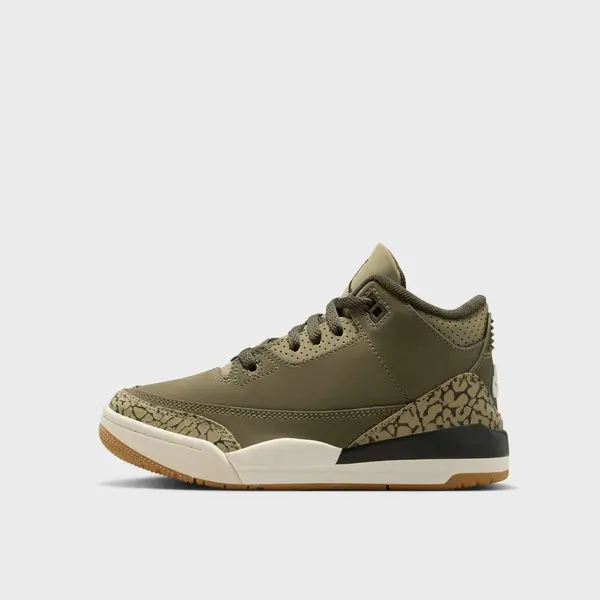 Jordan Air Jordan 3 Retro "Family Affair" (PS)