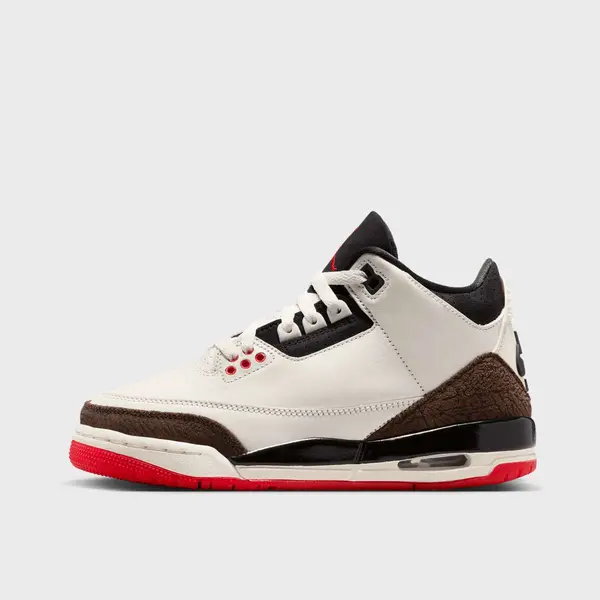 Jordan Air Jordan 3 Retro OG "World's Best Dad" (GS)