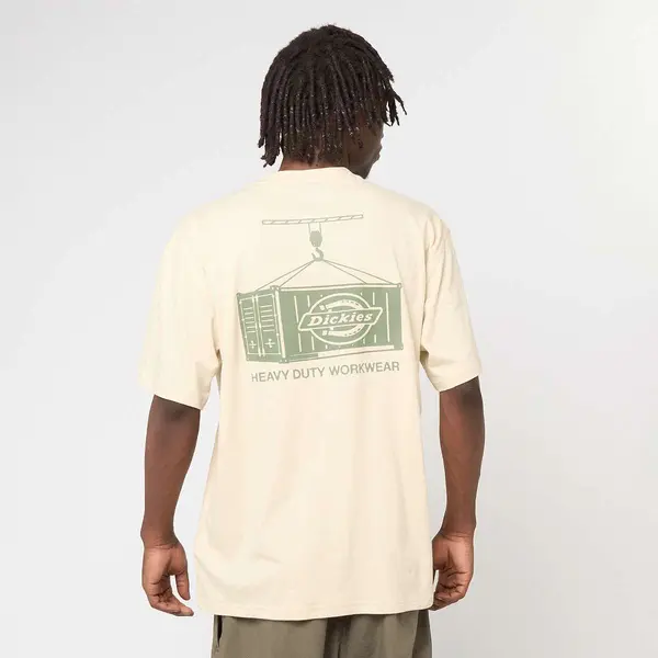 Dickies Apison Shortsleeve Tee