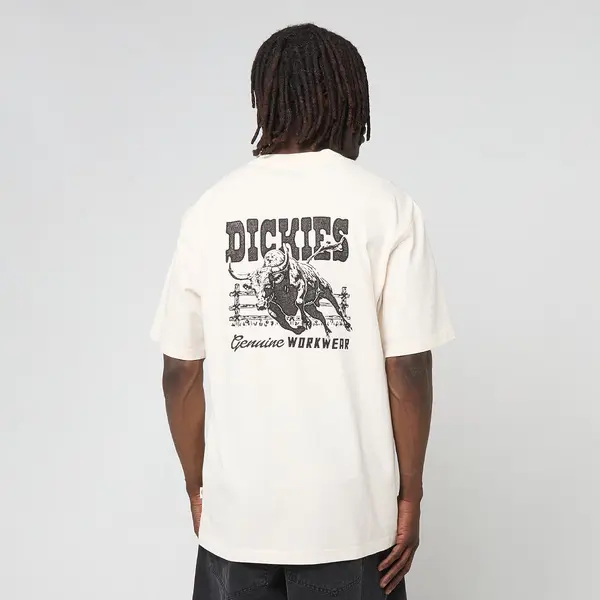 Dickies Buchtell Short Sleeve Tee